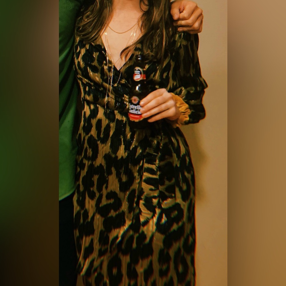 Zara quarter sleeve cheetah print dress